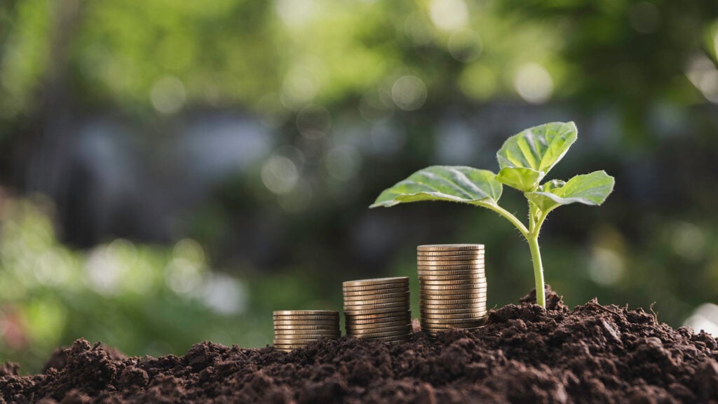 EVORA Global Sustainable Finance Image. Money and sapling growing from soil